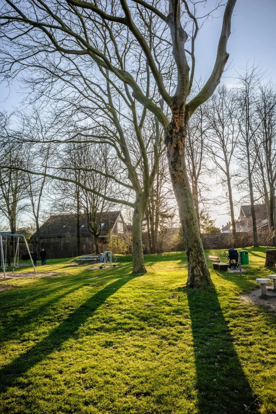 Before lawn restoration — sparse patchy grass in a backyard needing care